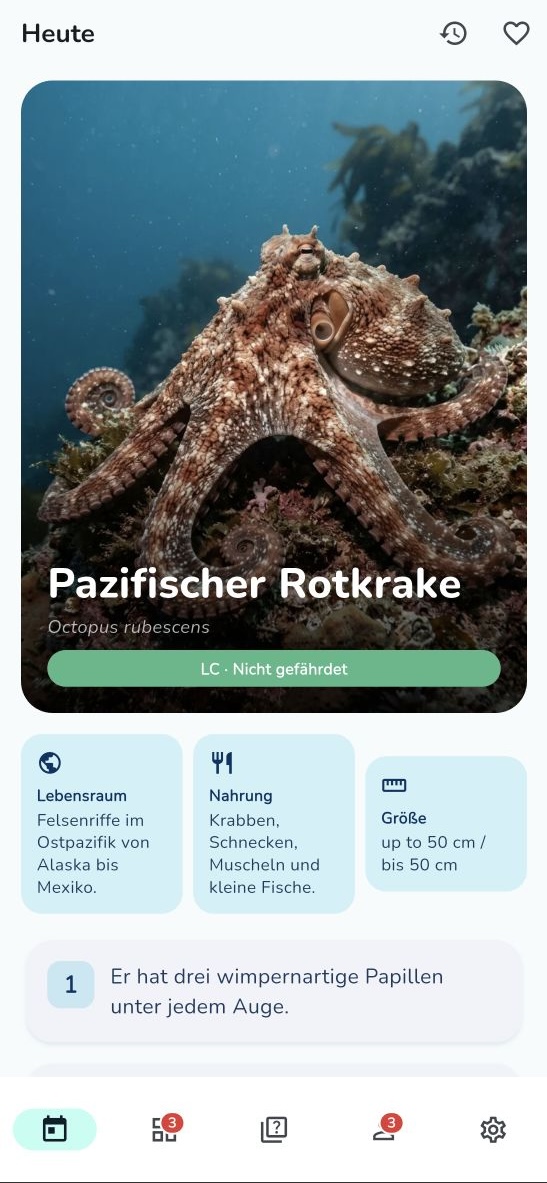 Ocean Insight — Daily view with East Pacific red octopus: habitat, diet and a did-you-know fact